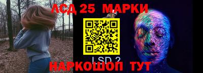 амф Кандалакша
