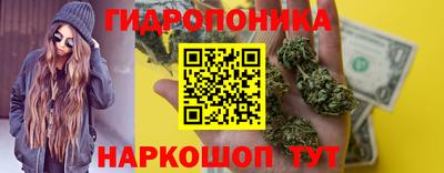 амф Кандалакша