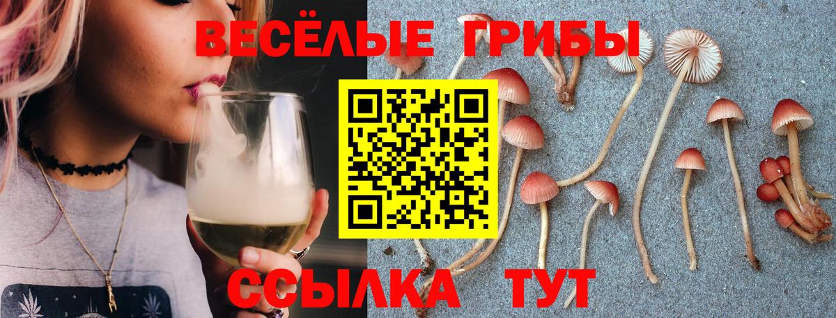 Псилоцибиновые грибы ЛСД  Псилоцибиновые грибы прущие грибы  Вход с VPN  Электрогорск 