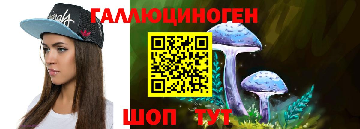 Псилоцибиновые грибы GOLDEN TEACHER Электрогорск
